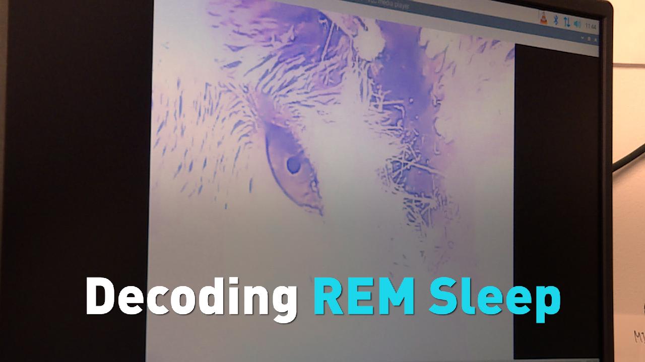 Decoding Rem Sleep Cgtn