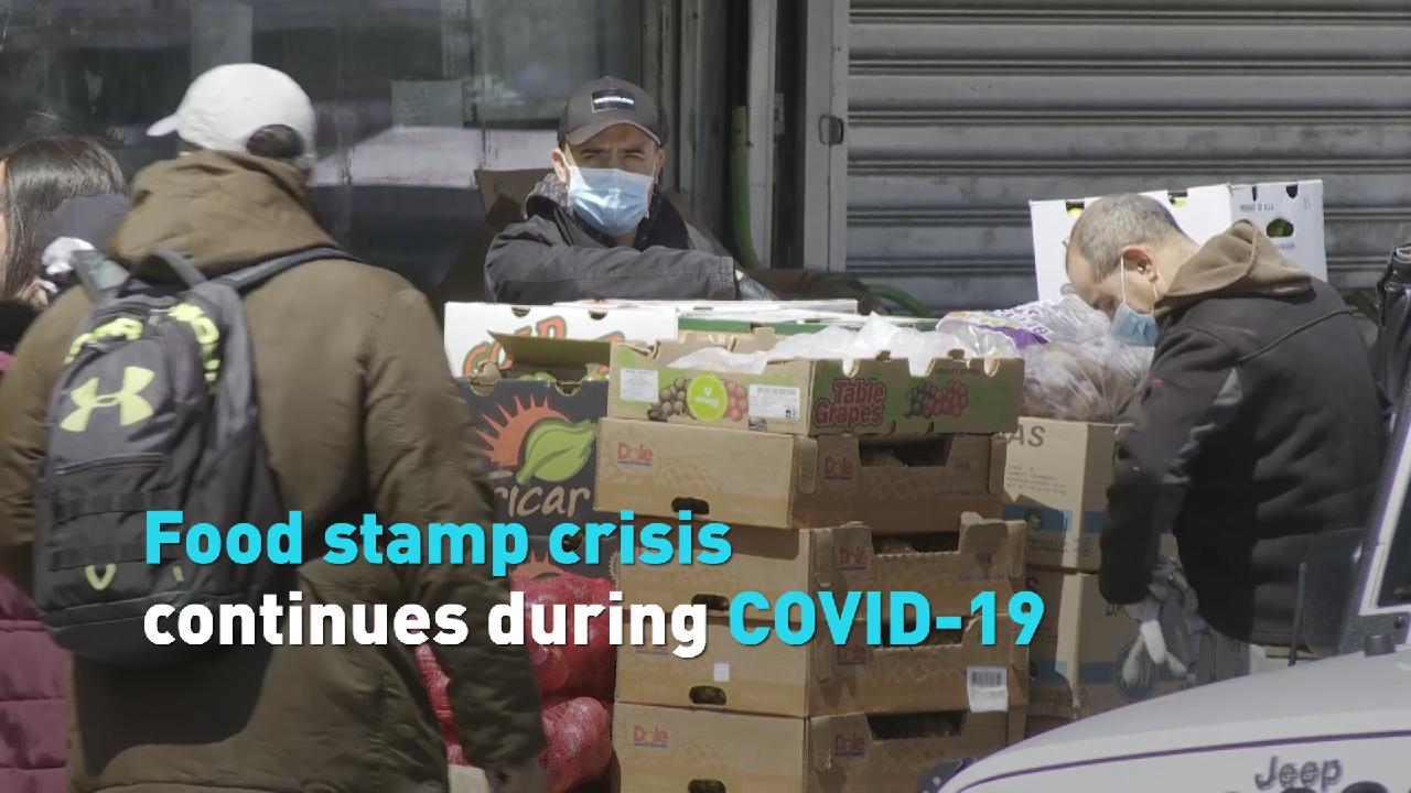 Food stamps more critical in U.S. during pandemic CGTN