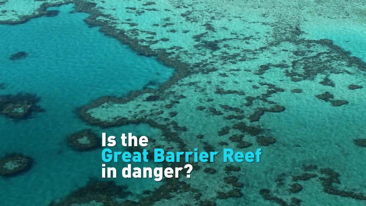 UN recommends Great Barrier Reef be added to 