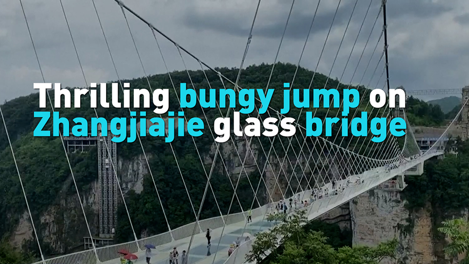 Thrilling Bungee Jump On Zhangjiajie Glass Bridge Cgtn