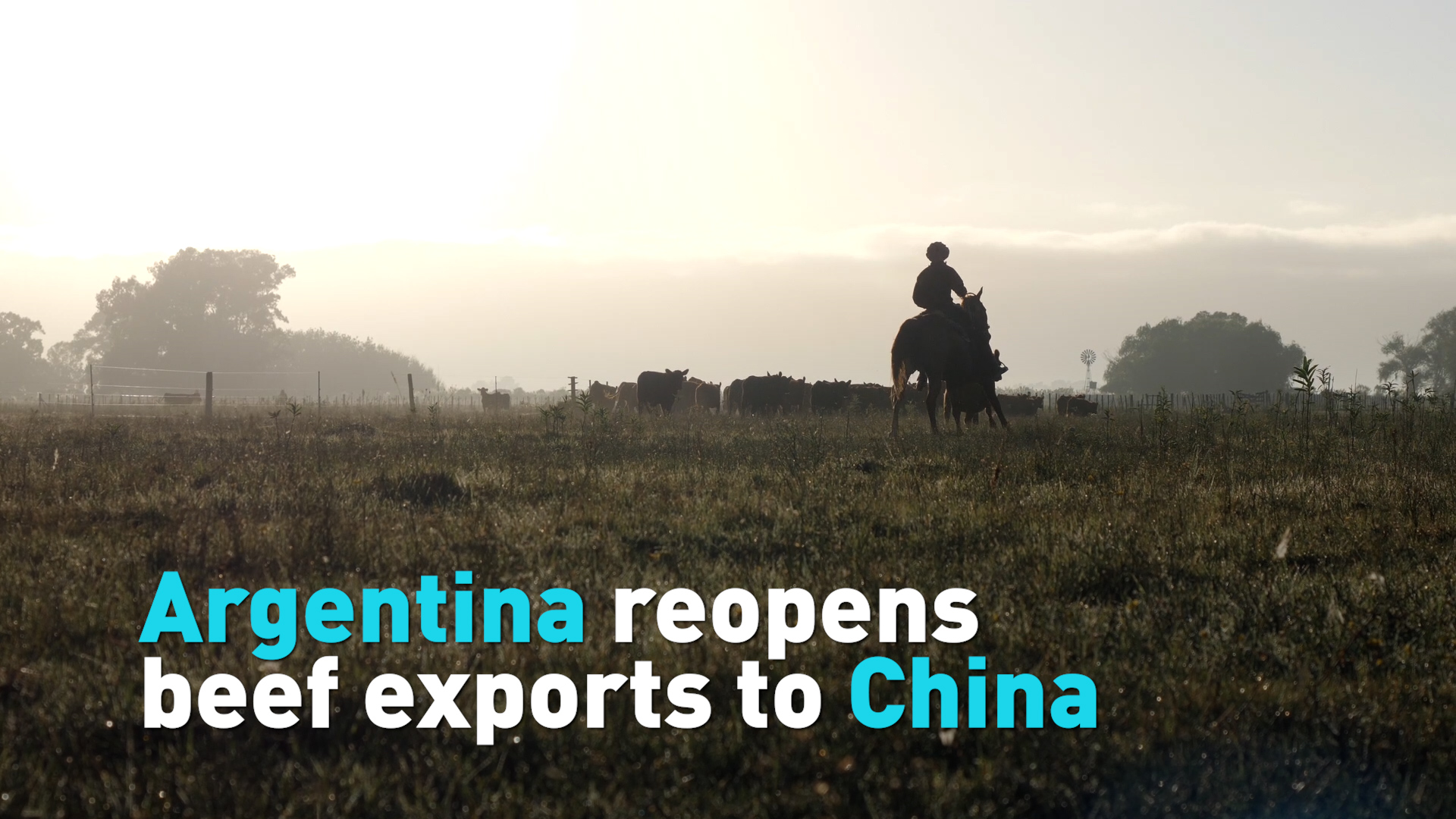 Argentina Reopens Beef Exports To China - CGTN