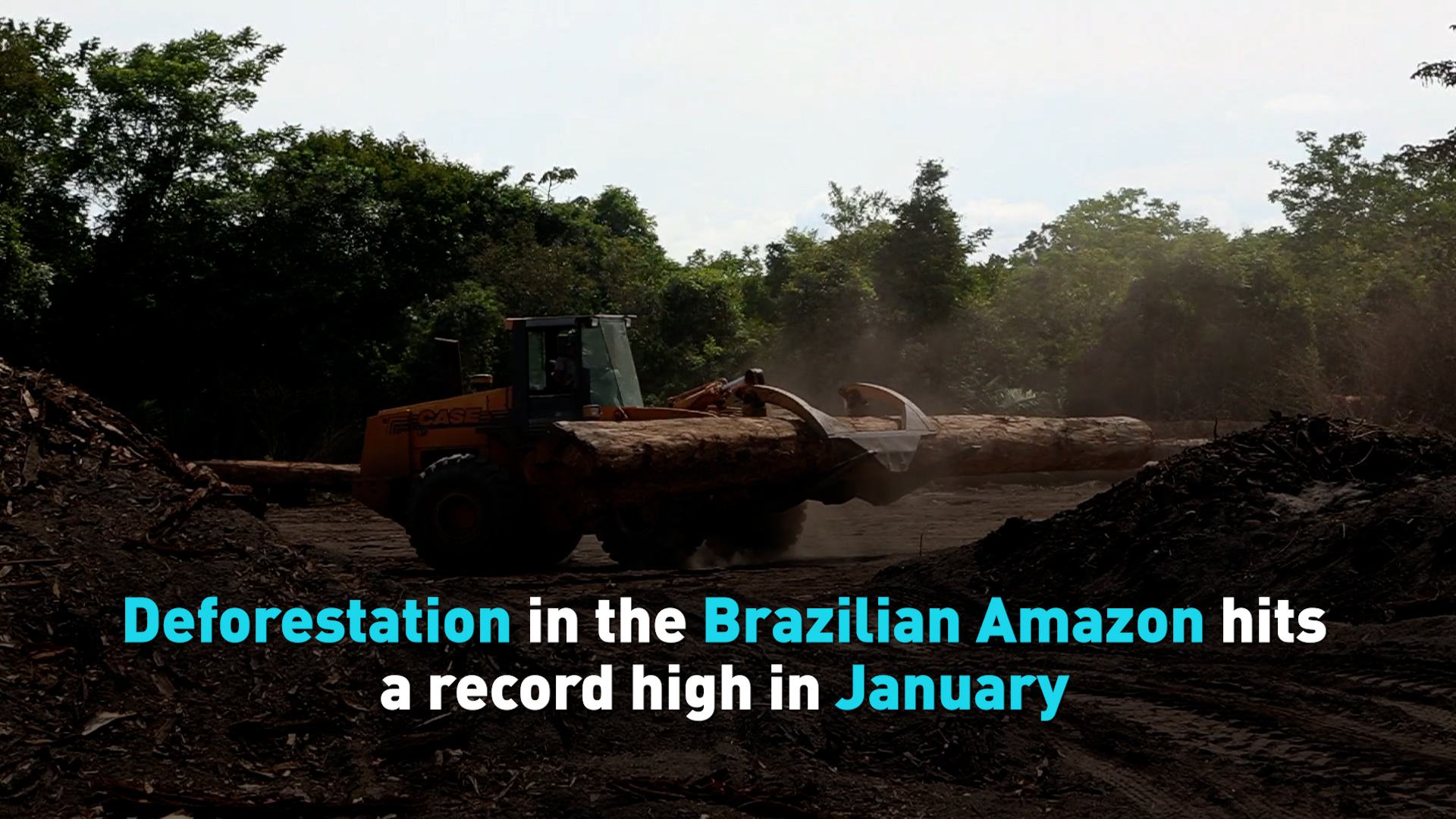 Deforestation In The Brazilian Amazon Hits A Record High In January - CGTN