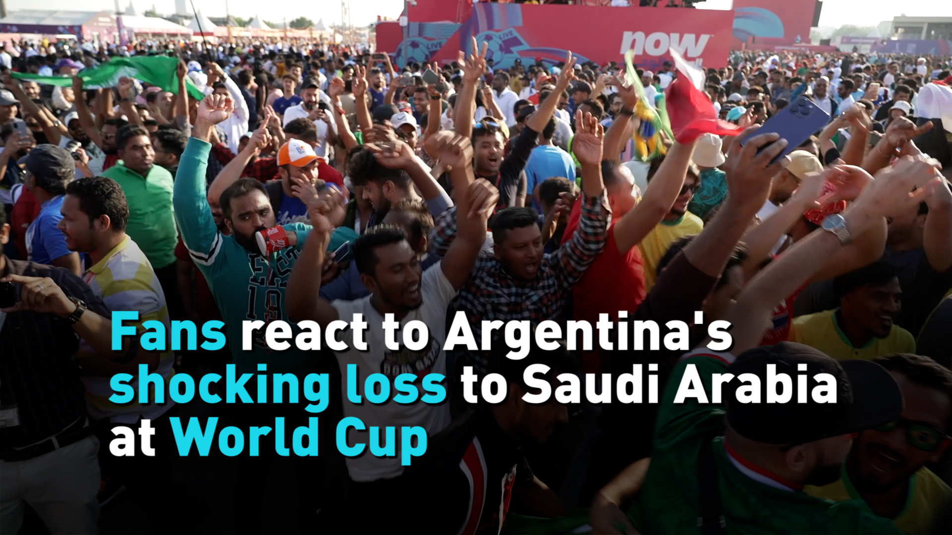 FIFA World Cup 2022: Saudi Arabia Fans Rejoice After Shock World Cup Win  Over Argentina