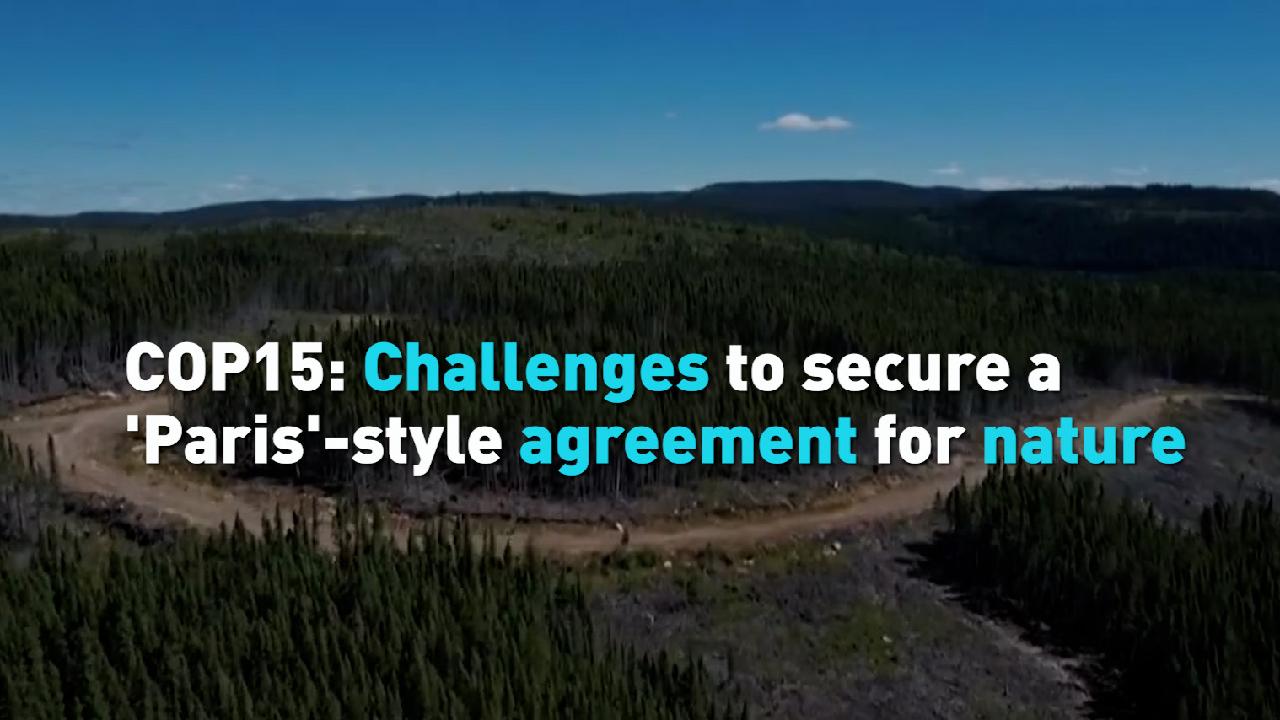 COP15: Challenges to secure a 'Paris'-style agreement for nature - CGTN