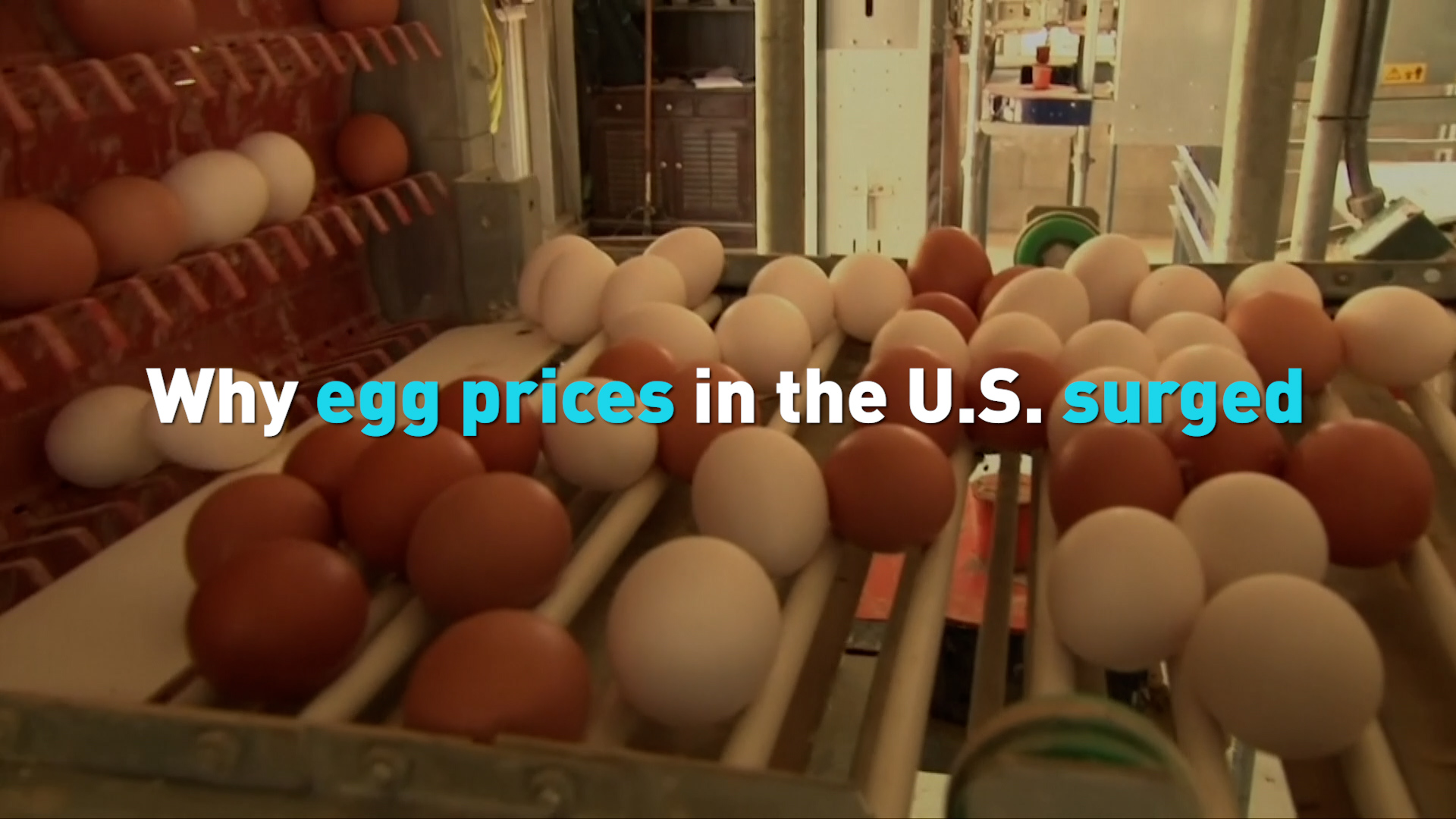 Why egg prices in the U.S. surged CGTN