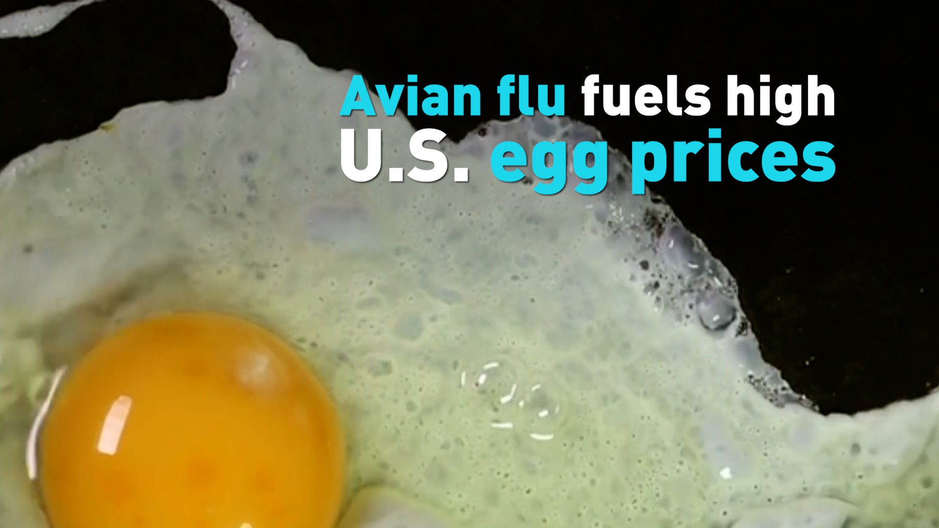 Avian flu fuels high U.S. egg prices CGTN