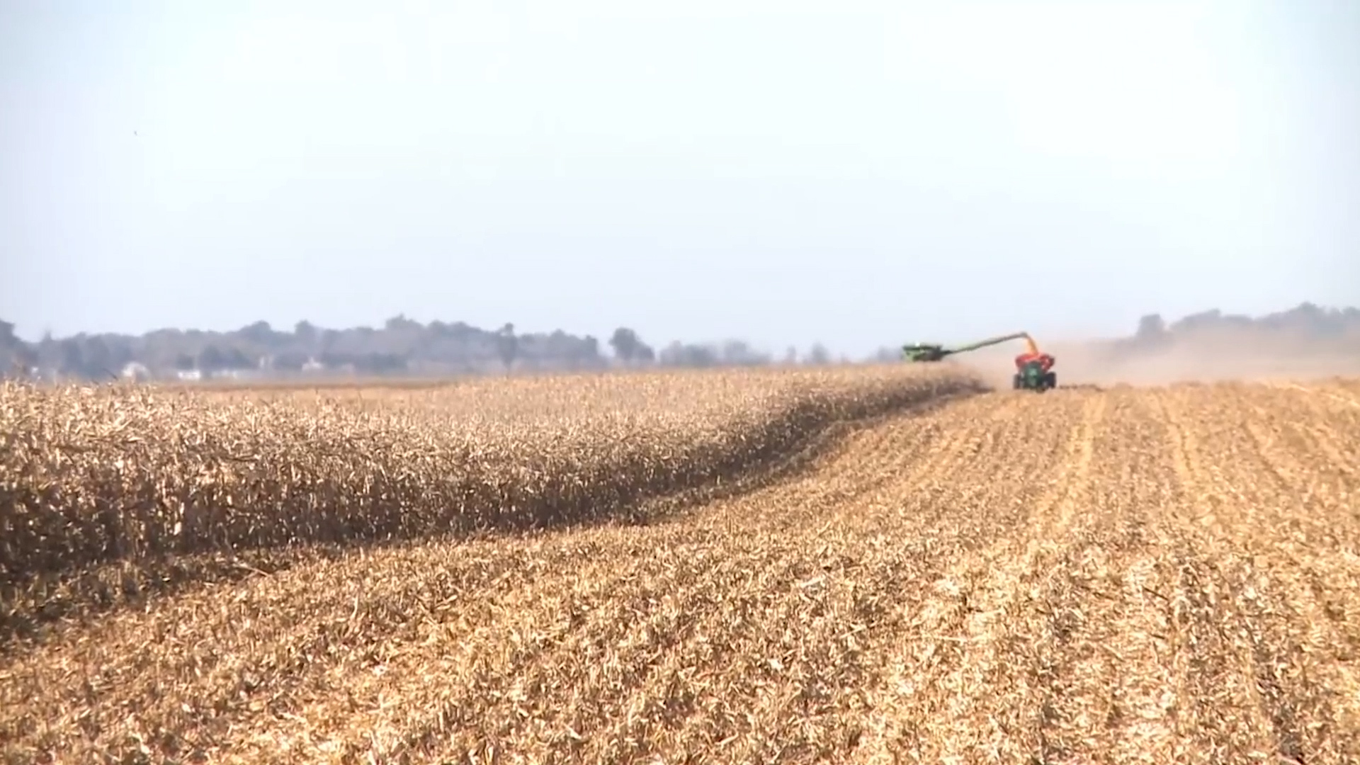 U.S. and Mexico clash over modified corn CGTN