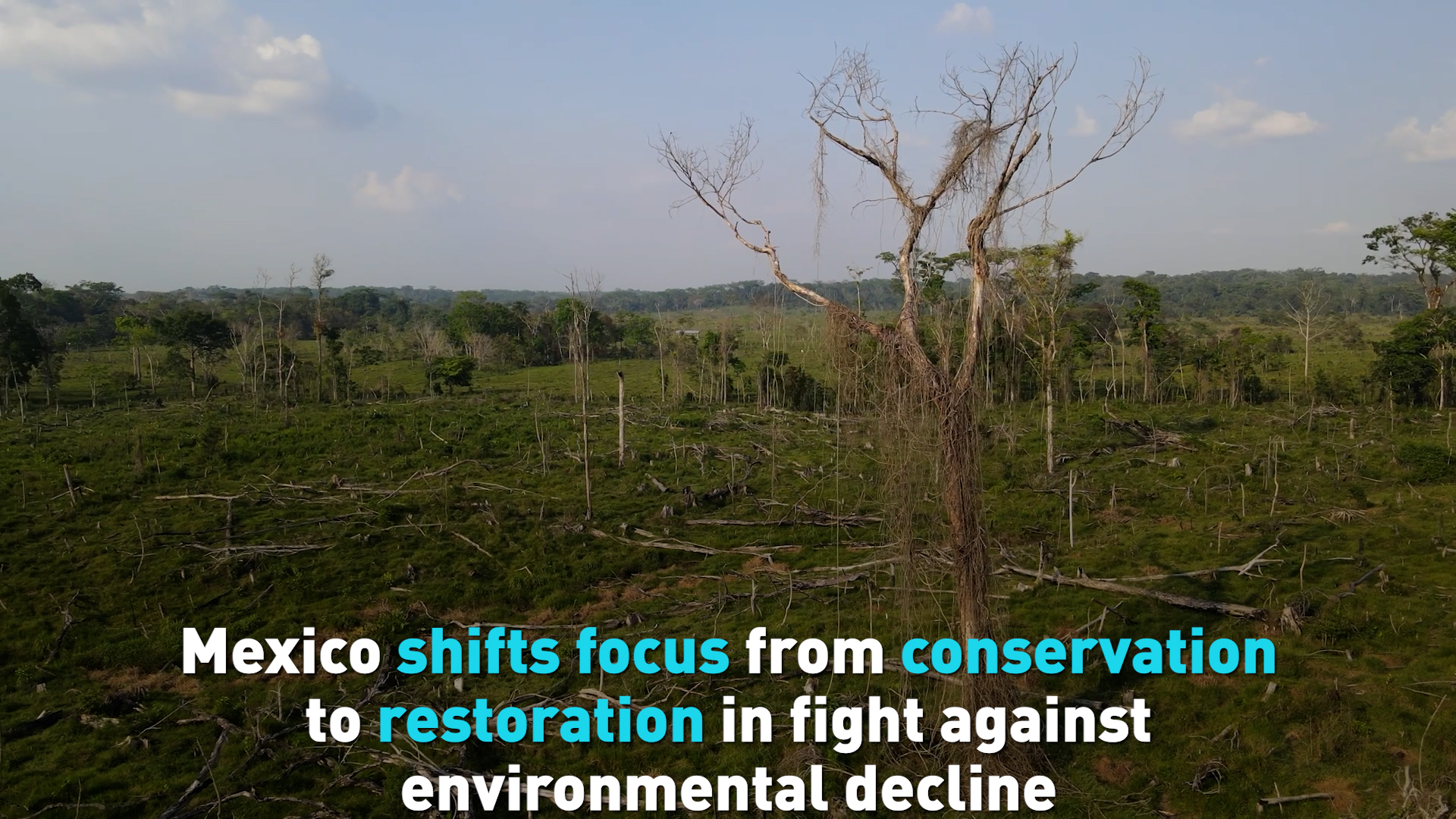 Mexico shifts to restoration in fight against environmental decline