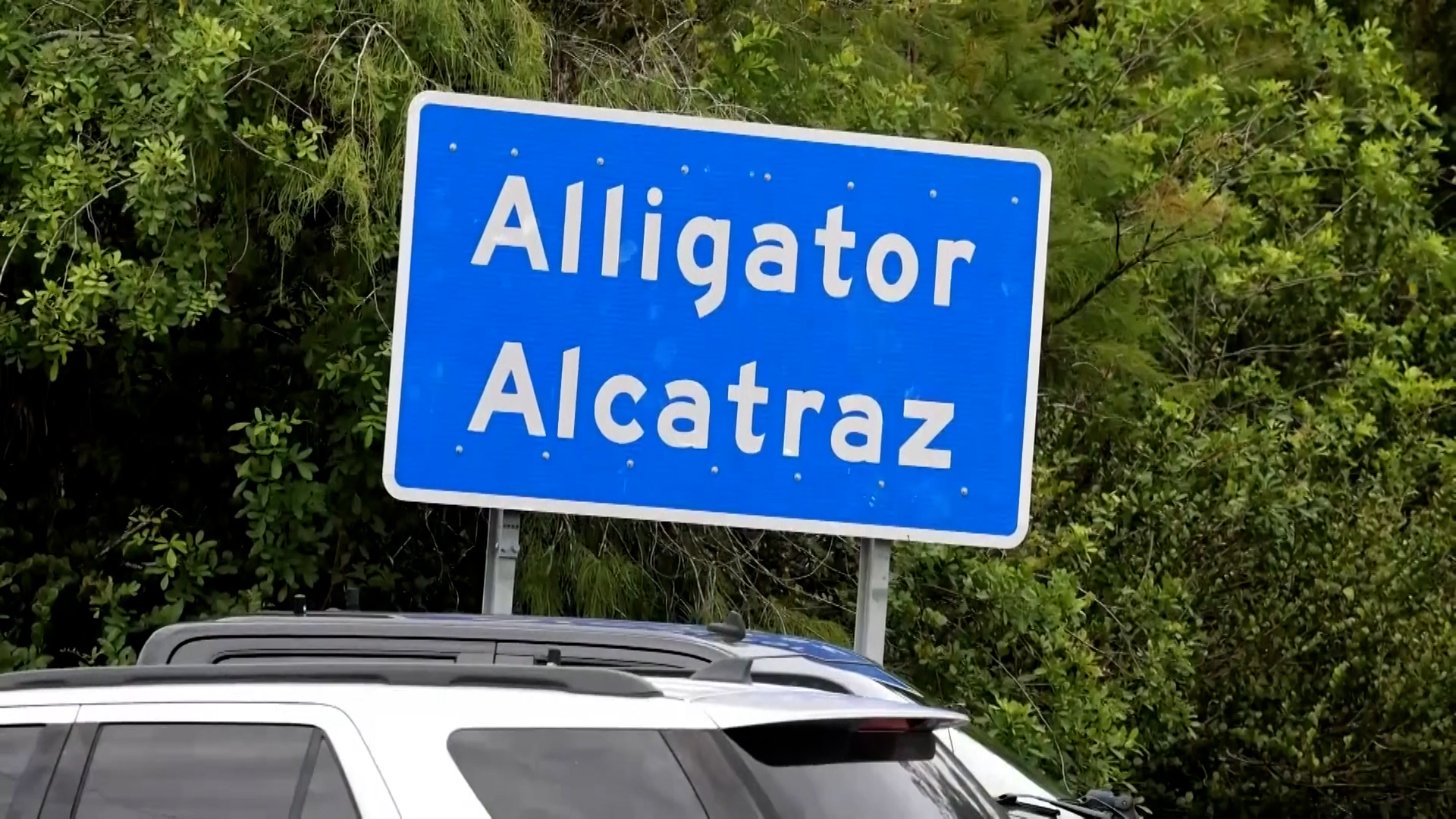 What's next in Florida after judge rules against 'Alligator Alcatraz'?
