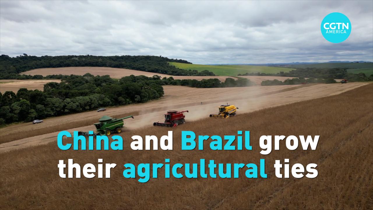 China and Brazil grow their agricultural ties