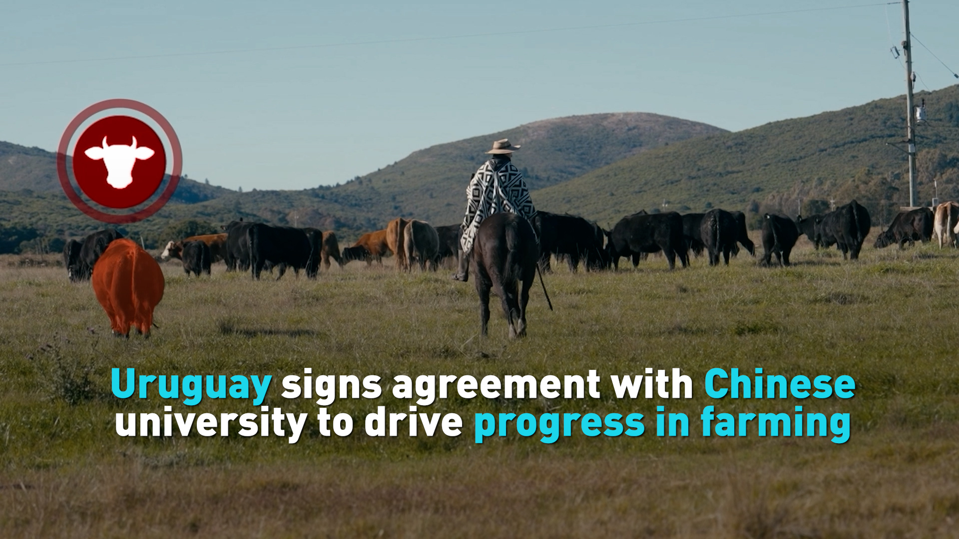 Uruguay signs agreement with Chinese university to drive farming