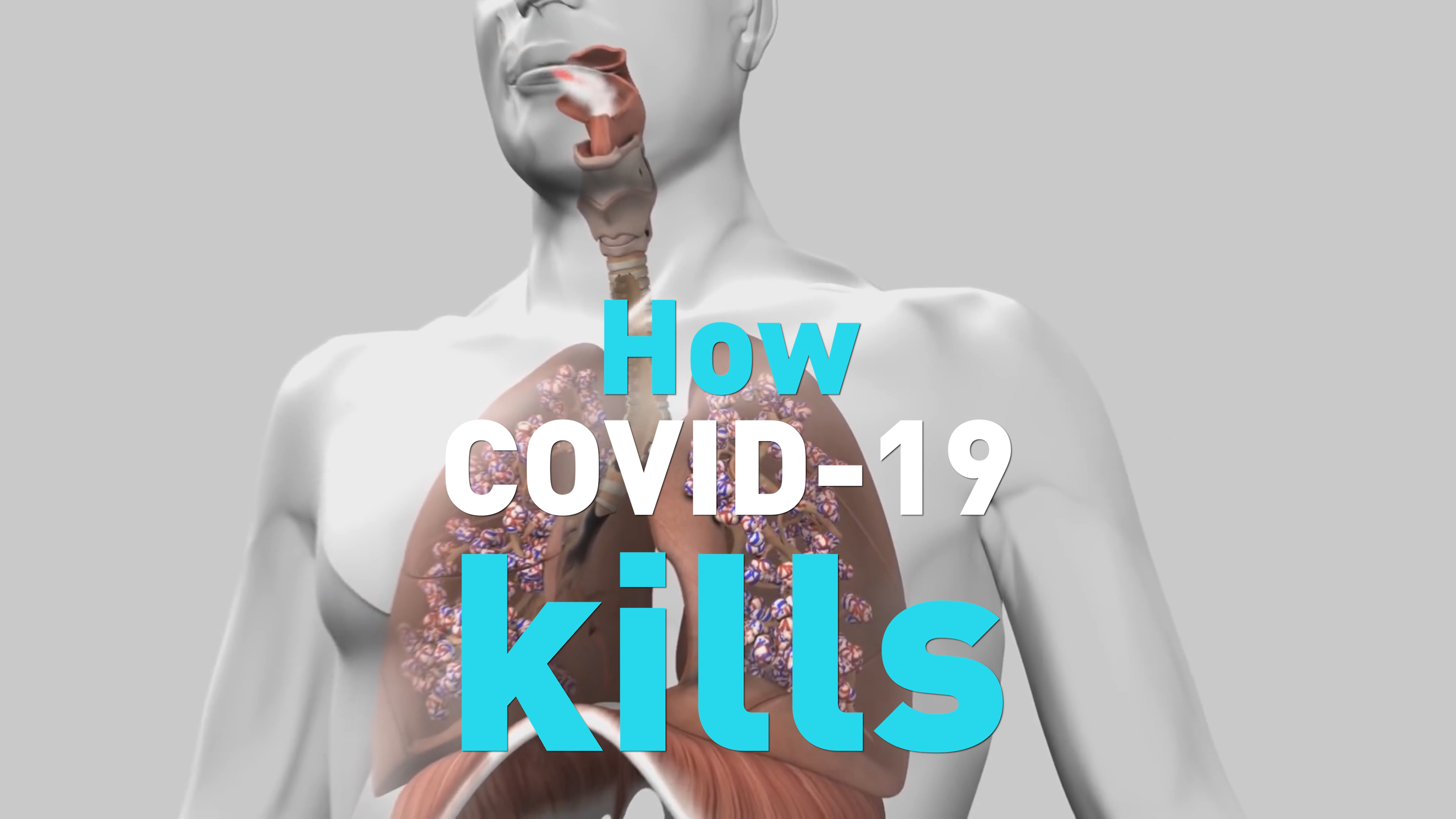 How exactly does COVID-19 kill people? - CGTN